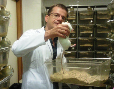 <p>Gonzalo de la Casa en el nuevo laboratorio de psicología de la Universidad de Sevilla. / US</p>