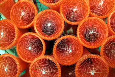 <p>El Bisfenol A es una sustancia química que se usa en la fabricación de algunos tipos de plástico como los bidones de agua. Foto: Joost_J_Bakker_IJmuiden</p>