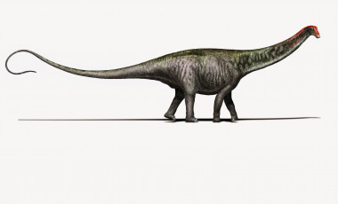 <p>Recreación de cómo ven los investigadores hoy en día al brontosaurio. / Davide Bonadonna.</p>