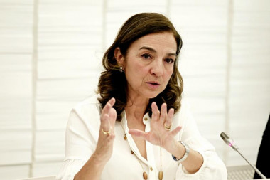 <p>La secretaria de Estado de I+D+i, Carmen Vela. / Sinc</p>