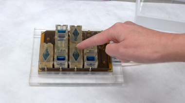 <p>EVATAR es dispositivo que replica el aparato reproductor femenino. Cada compartimiento contiene un modelo 3D de los ovarios, las trompas de Falopio, el útero, el cuello del útero, la vagina y el hígado. / Universidad de Northwestern</p>