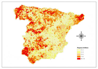 
<!-- START: including template: extension/sinc/design/ezwebin/templates/content/datatype/view/ezxmltags/paragraph.tpl (design:content/datatype/view/ezxmltags/paragraph.tpl) -->
<p>Mapa de la riqueza de especies de anfibios en España. Imagen: Gregorio Moreno-Rueda / SINC.</p>
<!-- STOP: including template: extension/sinc/design/ezwebin/templates/content/datatype/view/ezxmltags/paragraph.tpl (design:content/datatype/view/ezxmltags/paragraph.tpl) -->
