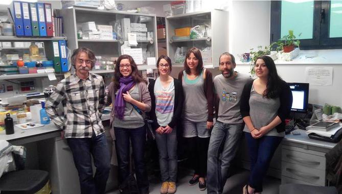 <p>De izquierda a derecha, los investigadores Carles Enrich, Meritxell Reverter, Anna Álvarez Guaita, Ana García Melero, Carles Rentero y Elsa Meneses en la Facultad de Medicina de la Universidad de Barcelona. / UB</p>