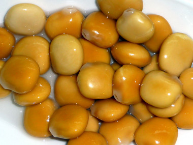 <p>El altramuz es comestible para el ser humano si previamente se le quita el amargor tras un remojo en agua. / <a href="https://en.wikipedia.org/wiki/Lupinus_albus#/media/File:Lupinus_albus.JPG" target="_blank">Wikipedia</a></p>