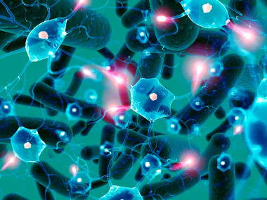 <p>Probióticos con sinapsis. La imagen representa el eje intestino-cerebro que explica cómo influyen los probióticos en la función cerebral. / Fundación Descubre</p>