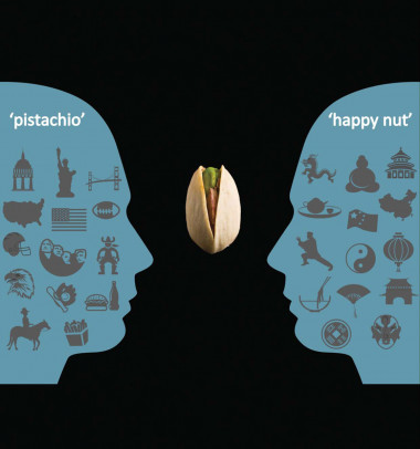 <p>Los estudiantes chinos cometían más errores, como traducciones literales, al estar expuestos a símbolos culturales. / Dmitry Rukhlenko</p>