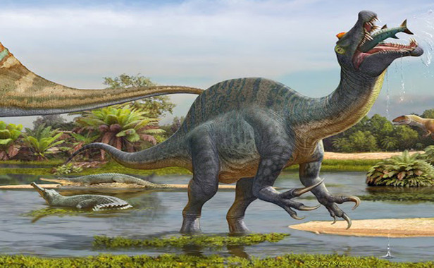 <p>Un <em>Spinosaurus </em>se alimentan de peces en el Sureste de Marruecos hace unos 100 millones de años / Ilustración de Sergey Krasovskiy </p>