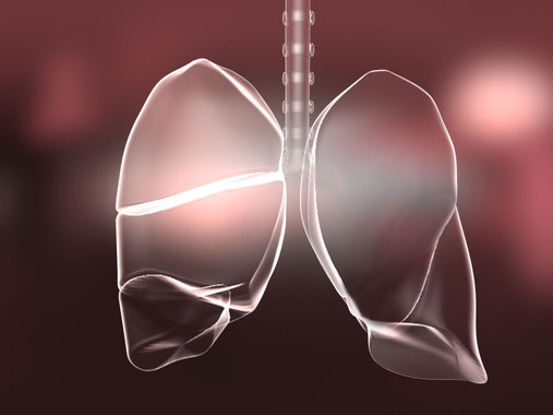 <p>Inflamación en los pulmones./ V. Altounia-Science Translational Medicine</p>