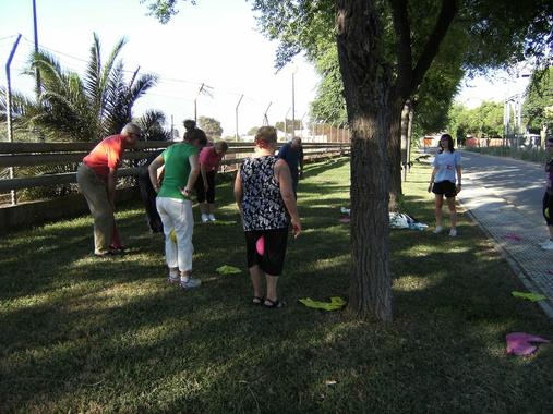 <p>Mayores realizando ejercicio físico. / Fundación Descubre</p>