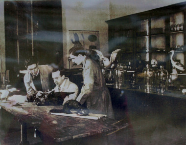 <p>Luis Iglesias con dos de sus colaboradores en el Laboratorio de Taxidermia de la Universidad de Santiago. / RAGC.</p>