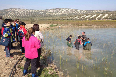 <p>Uno de los investigadores, durante una visita guiada a la laguna de Garcíez (Torredelcampo, Jaén). / UJA</p>