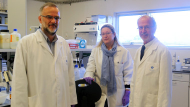 <p>Investigadores del Laboratorio de Investigación en Litiasis Renal y Biomineralización. / UIB</p>
