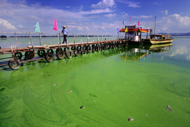 <p/>El lago eutrofitzado Dianchi, en China. El estado del agua la hacía inservible para el consumo y el uso agrícola e industrial / Greenpeace China (<a href=