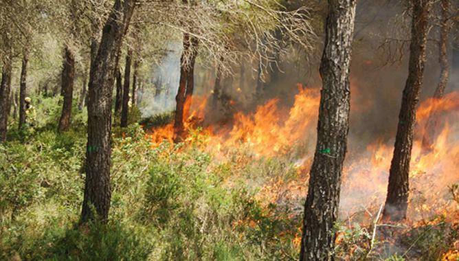 <p>Fuego de baja intensidad. / Adrián Regos.</p>