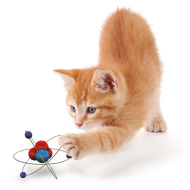 <p class=" text-left">Ilustración del gato de Schrödinger. Imagen: ICFO.</p>