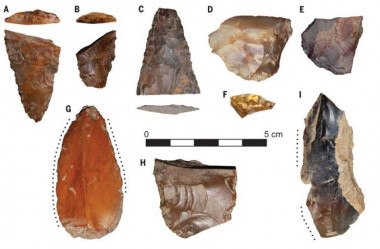 <p>Estos son algunos de los fragmentos de piedra tallados para la caza y la pesca que se han encontrado en el yacimiento de Cooper s Ferry. / Loren Davis, Oregon State University, et al</p>