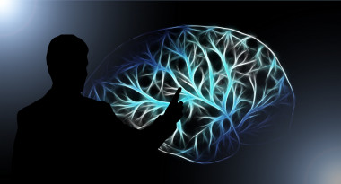 <p>Los humanos nacemos con prácticamente todas las neuronas necesarias para el desarrollo normal. / <a href="https://pixabay.com/es/cerebro-encienda-educaci%C3%B3n-lectura-3141247/" target="_blank">Pixabay</a></p>