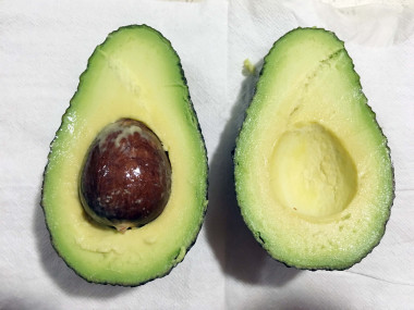 <p>Hueso de aguacate. / Fundación Descubre </p>