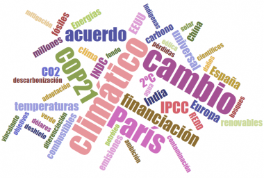 <p>Estas son algunas de las palabras más escuchadas durante la COP21. / SINC</p>