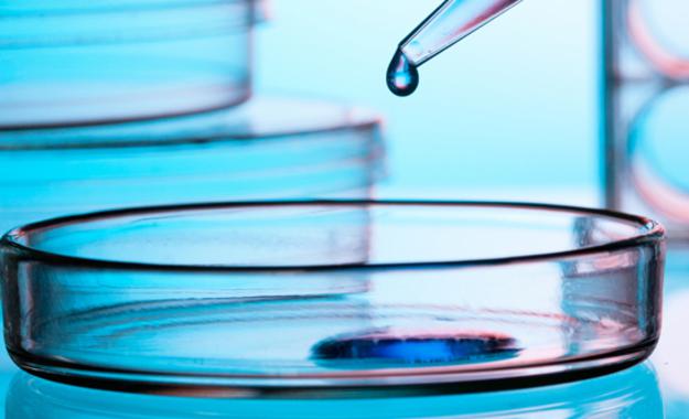 <p>La inmunoterapia manipula con fármacos el sistema inmunitario para que reaccione frente a las células del cáncer. / <a href="http://upload.wikimedia.org/wikipedia/commons/9/9d/Inmunoterapia_con_al%C3%A9rgenos.jpg" target="_blank">Wikipedia</a></p>