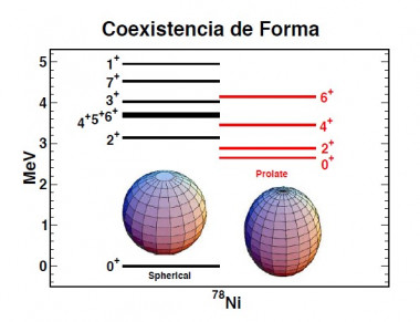 <p>El estado fundamental del niquel 78 presenta especial estabilidad y forma esférica, pero los cálculos también reflejan que su primer estado excitado es elipsoidal y elongado, un ejemplo espectacular de coexistencia de diferentes formas casi a la misma energía. / UAM</p>