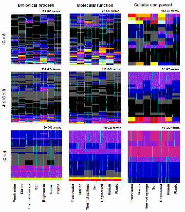 <p>La diversidad es clave: metagenomas de entornos diversos pueden predecir diferentes tipos de funciones genéticas. / F Supek, IRB Barcelona</p>