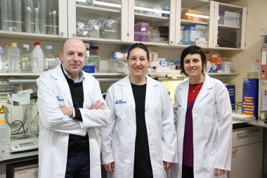 <p>De izquierda a derecha, los investigadores Miquel Vila, Iria Carballo-Carbajal y Ariadna Laguna. / Hospital Vall d’Hebron</p>