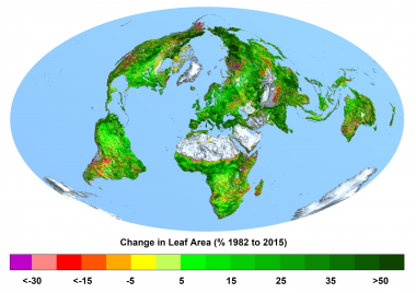 <p>Cambio de la superficie foliar en porcentaje, de 1982 a 2015. Cuanto más verde, más ha aumentado el número de hojas; cuanto más lila, más ha disminuido el número de hojas. / Ranga B. Myneni, Universidad de Boston).</p>