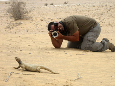 <p>Aitor Valdeón, fotografiando un lagarto de cola espinosa (<em>Uromastyx aegyptia</em>). / Unizar.</p>