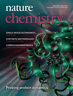 <p>La simulación de la catálisis enzimática a través de supercomputadores es portada de <em>Nature Chemistry</em>. / Nature Chemistry</p>