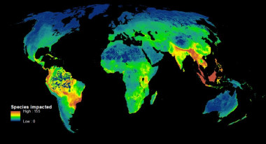 <p>Este mapa muestra las zonas calientes de la biodiversidad, donde la caza furtiva y la deforestación amenazan más a las especies. / James Allan et al.</p>