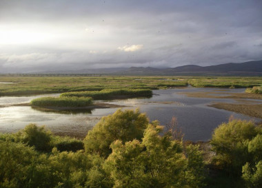 <p>Parque Nacional de las Tablas de Daimiel. Foto: Dario Rodríguez.</p>