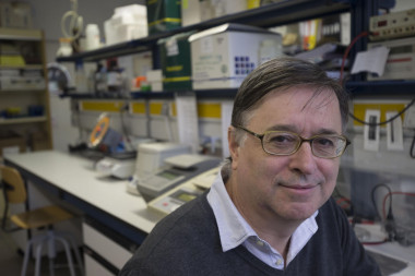 <p>En la imagen, Francesc Villarroya, director de esta investigación. / CIBEROBN</p>