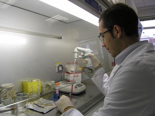 <p>Pedro Prieto-Hontoria, en el laboratorio.</p>