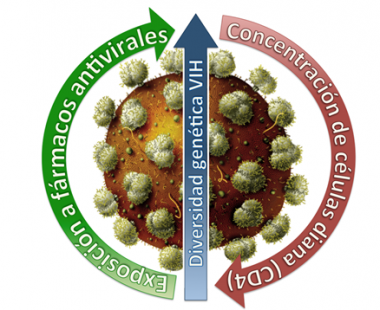 <p>Imagen: Wikipedia.</p>
