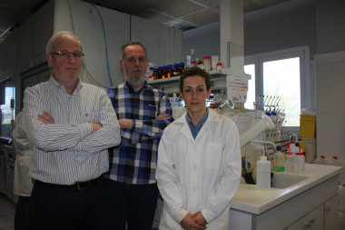 <p>Los investigadores Ramón Martínez Máñez, Félix Sancenón y Cristina de la Torre. / Universitat Politècnica de València</p>