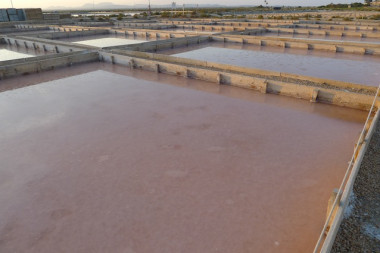 <p>Los microorganismos de las salinas de Es Trenc (Mallorca) han sido utilizados para el estudio. / CAB</p>