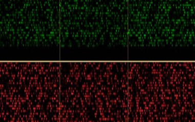 <p>Ejemplo del epigenoma derivado de una muestra tumoral incluida en en estudio. Las señales de fluorescencia verde indican una perdida de señal epigenética, mientras que las rojas indican una ganancia de señal epigenética. Cerca de medio millón de puntos de información epigenética del genoma humano fueron analizados en cada cancer. / IDIBELL</p>