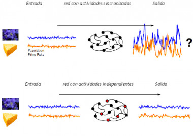 
<!-- START: including template: extension/sinc/design/ezwebin/templates/content/datatype/view/ezxmltags/paragraph.tpl (design:content/datatype/view/ezxmltags/paragraph.tpl) -->
<p>Observando la salida de una red correlacionada (arriba) resulta imposible discriminar entre la respuesta producida por dos estímulos diferentes a causa de las grandes fluctuaciones que genera esa red. En cambio, la salida de una red no muy correlacionada presenta tanto ruido como las señales originales.</p>
<!-- STOP: including template: extension/sinc/design/ezwebin/templates/content/datatype/view/ezxmltags/paragraph.tpl (design:content/datatype/view/ezxmltags/paragraph.tpl) -->
