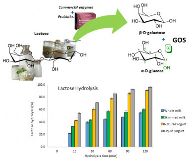 <p>Porcentaje de hidrólisis de lactosa en productos comerciales (leche y yogures) durante el tratamiento <em>in vitro</em> con el preparado enzimático comercial analizado (Kyo-dophilus®). / CIAL (CSIC-UAM)</p>