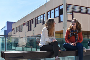 <p>La proyección de este índice para España se situaría ahora en 0,72 sobre 1, con una ligera tendencia a la baja para los próximos años. / UPV</p>
