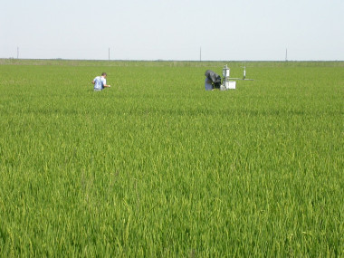 <p>Situación, colocación y programación de la estación de Eddy Covariance (California, EE UU) en el arrozal del ensayo. / Rubén Moratiel</p>
