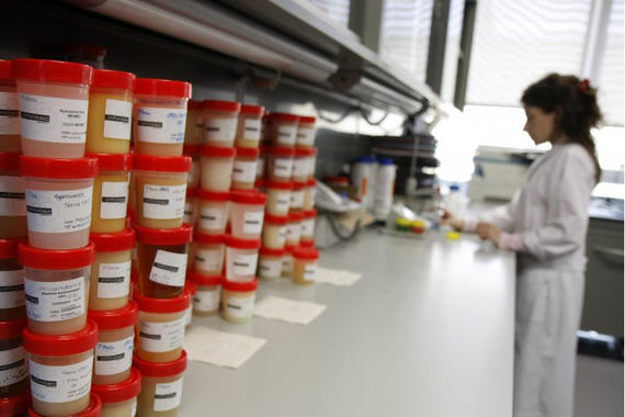 <p>España se sigue situando entre los países moderadamente innovadores de la UE. En la imagen, un laboratorio de la biotecnológica española Infinitec Activos, una de las empresas españolas innovadoras que triunfa en la industria cosmética internacional.</p>