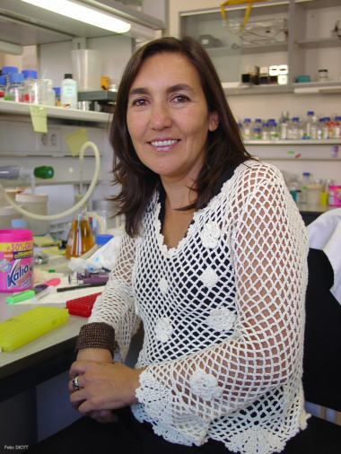 
<!-- START: including template: extension/sinc/design/ezwebin/templates/content/datatype/view/ezxmltags/paragraph.tpl (design:content/datatype/view/ezxmltags/paragraph.tpl) -->
<p> Susana Gonzalo, investigadora de la Washington University School Medicine. Foto: DiCYT.</p>
<!-- STOP: including template: extension/sinc/design/ezwebin/templates/content/datatype/view/ezxmltags/paragraph.tpl (design:content/datatype/view/ezxmltags/paragraph.tpl) -->
