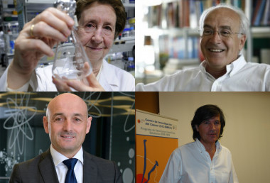 <p>De arriba a abajo y de izquierda a derecha: Margarita Salas, Carlos Belmonte, Lluís Torner y Carlos López-Otín. / SINC</p>