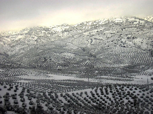 <p>La cordillera bética en Jaén, nevada. Foto: Rufus Gefangenen.</p>