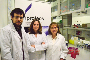 <p>De izquierda a derecha, Eduard Sabido, jefe de la Unidad Proteómica del CRG-UPF, Teresa Tarragó, consejera delegada de Iproteos, y Vicenta Llorente-Cortés, directora del grupo LipidCardio del IIBB-CSIC. / Iproteos</p>