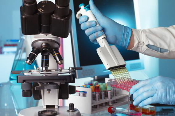 <p>El Consejo Europeo de Investigación otorga 135 becas Proof of Grant en esta edición./ Fotolia</p>