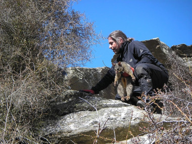 <p>El investigador Carlos Rouco durante su trabajo de campo en Nueva Zelanda, estudiando las poblaciones de zarigüeyas australianas. / Universidad de Córdoba</p>
