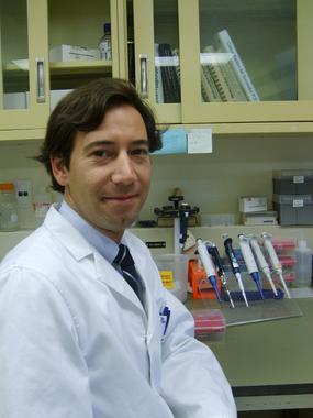 <p>Dr. Pablo Pérez, autor de la investigación.</p>